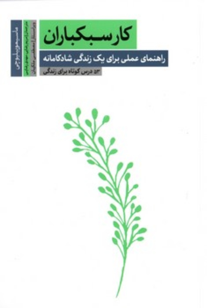 تصویر  کار سبکباران - راهنمای عملی برای یک زندگی شادکامانه (رقعی-شمیز)
